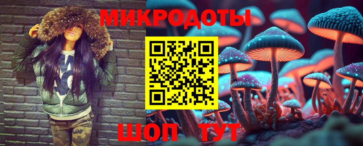 Гуково  Псилоцибиновые грибы Cubensis  Вход с VPN 